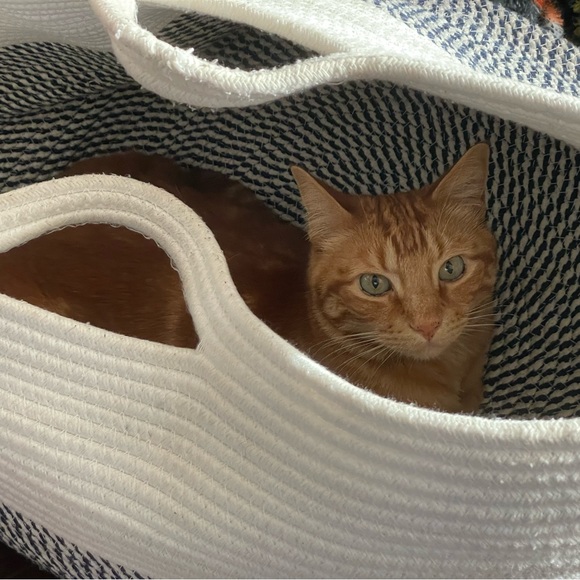 Meet your Posher, Kimberly - Picture 9 of 13